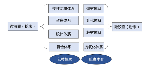 DHA藻油/EPA鱼油粉/ARA粉(图2)